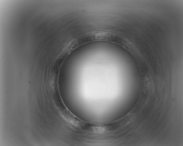 X0000080180698200612151949