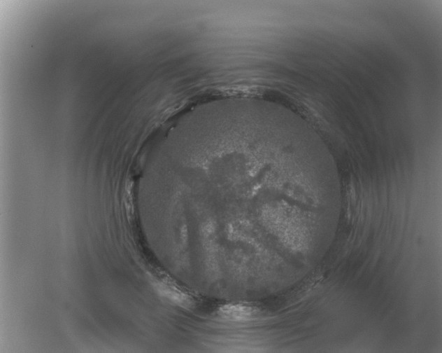 X0000080180699200612151948