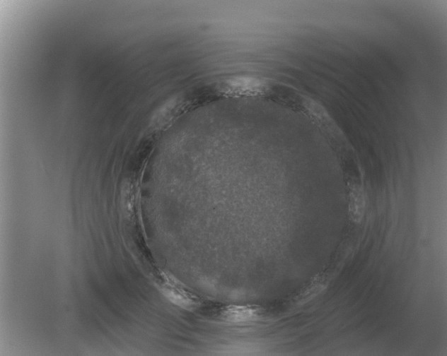 X0000080180701200612151948