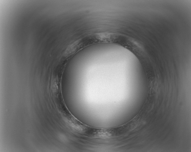 X0000080180702200612151948