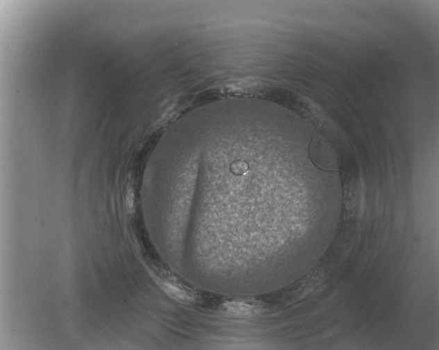 X0000080180703200612151948