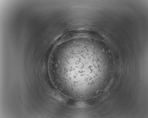 X0000080180704200612151948