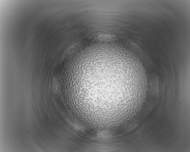 X0000080180705200612151948