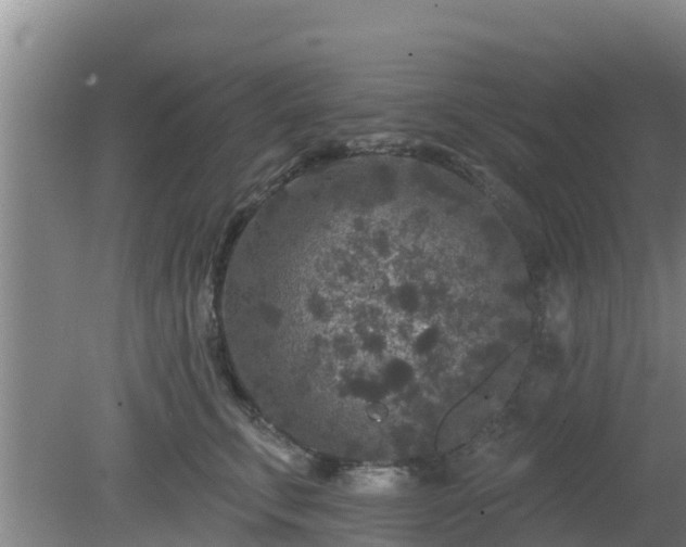 X0000080180711200612151948