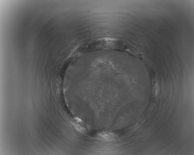 X0000080180712200612151948