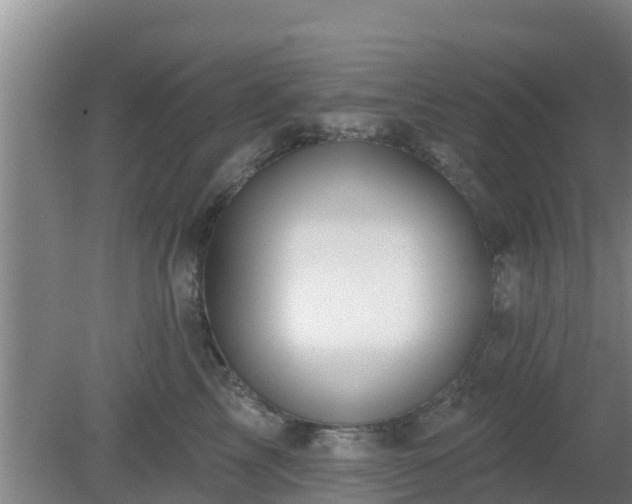 X0000080180713200612151948