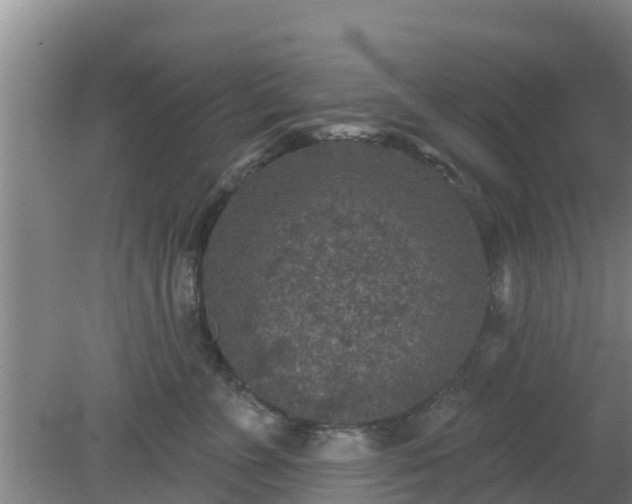 X0000080180715200612151948