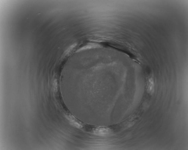 X0000080180716200612151948