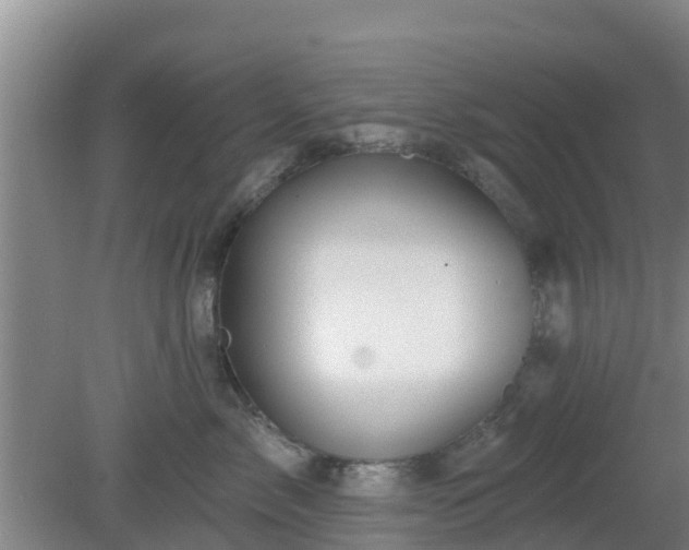 X0000080180717200612151948