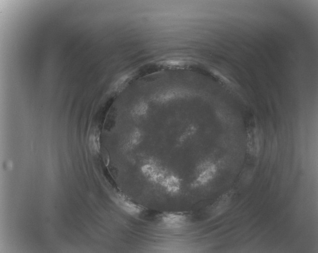 X0000080180718200612151948