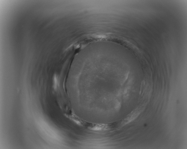 X0000080180720200612151948