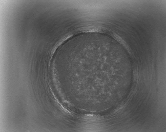 X0000080180721200612151947