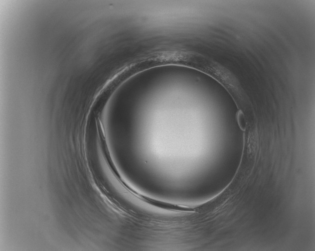 X0000080180722200612151947