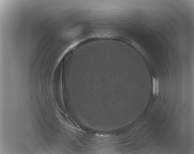 X0000080180723200612151947