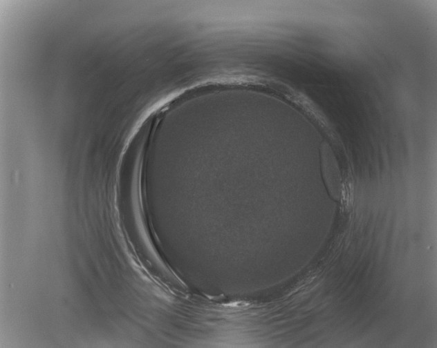 X0000080180724200612151947