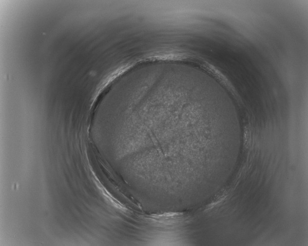 X0000080180725200612151947