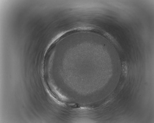 X0000080180726200612151947