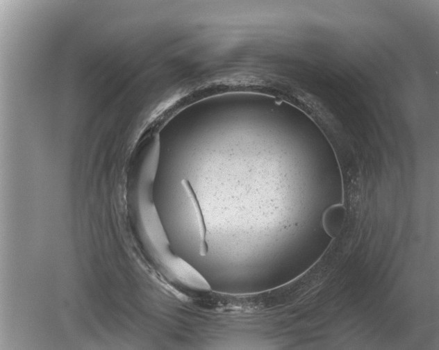 X0000080180727200612151947