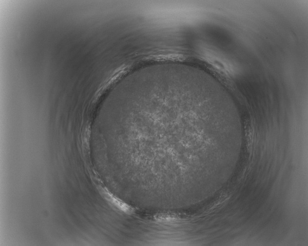 X0000080180729200612151947