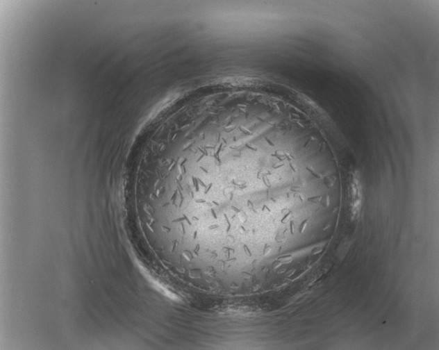 X0000080180730200612151947