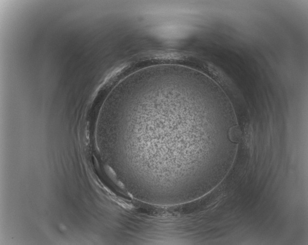 X0000080180731200612151948