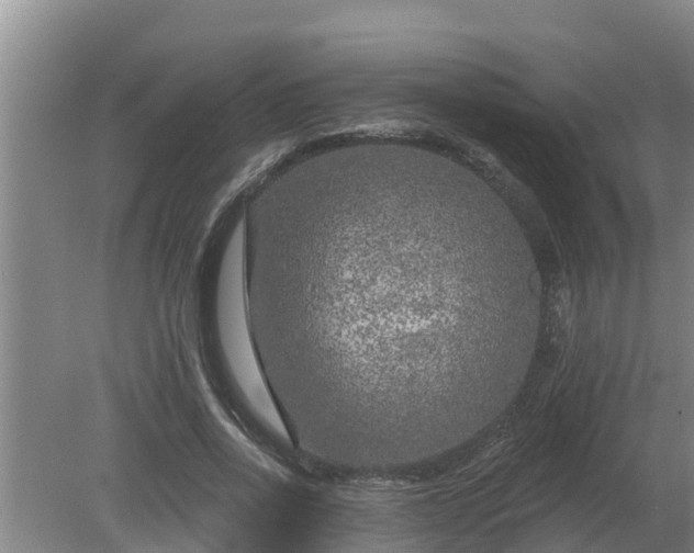 X0000080180734200612151948