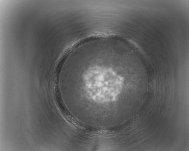 X0000080180736200612151948