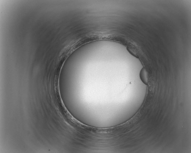 X0000080180740200612151948