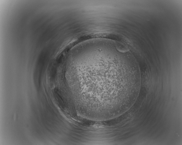 X0000080180742200612151948