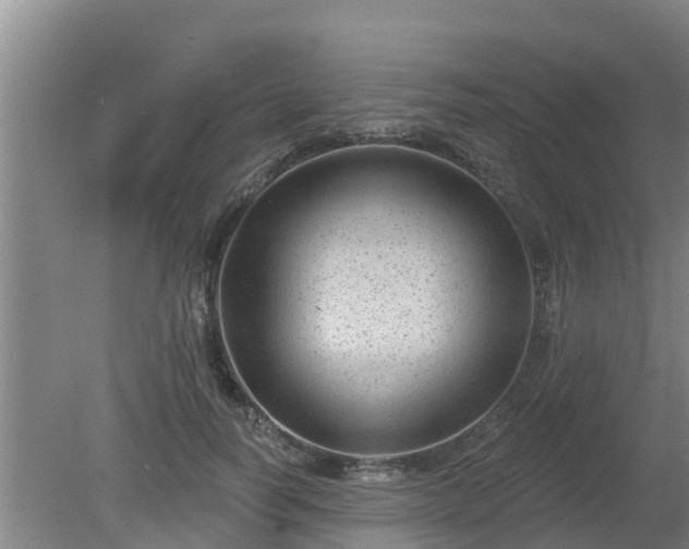 X0000080180746200612151948