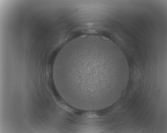 X0000080180747200612151948