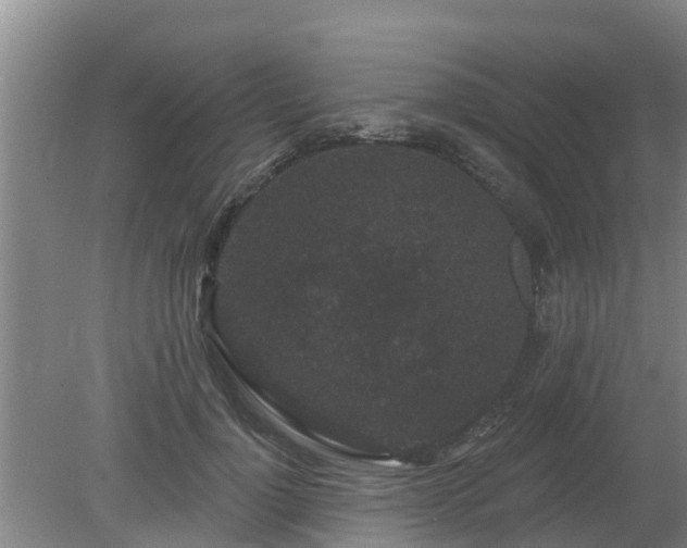 X0000080180748200612151948