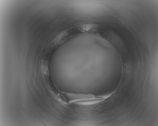 X0000080180754200612151948