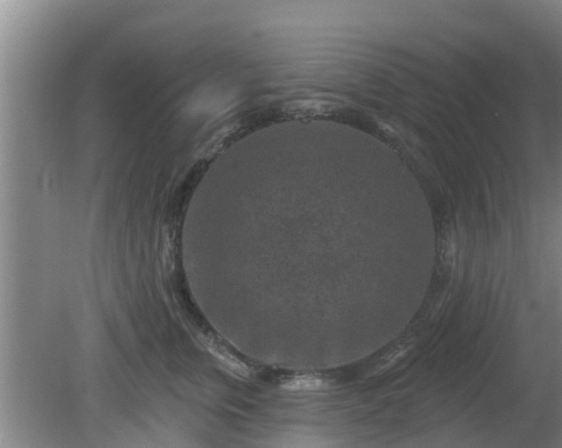 X0000080180759200612151948