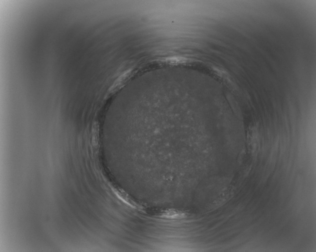 X0000080180760200612151948