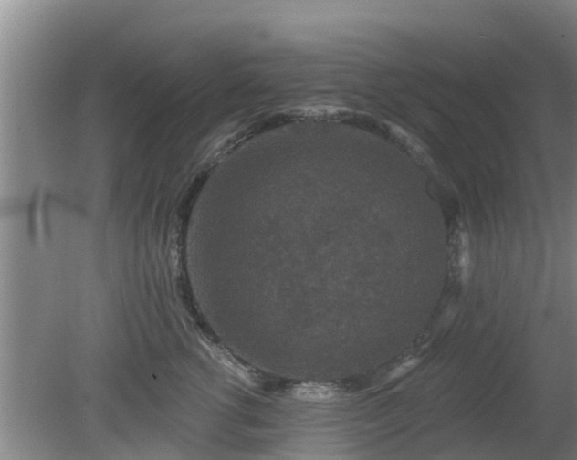 X0000080180762200612151948