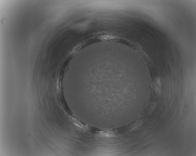 X0000080180763200612151948