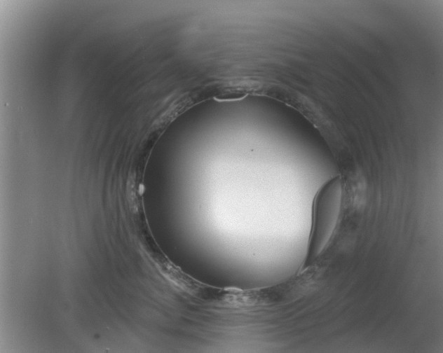 X0000080180764200612151948