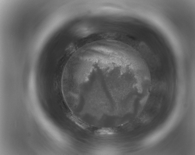 X0000080180765200612151948