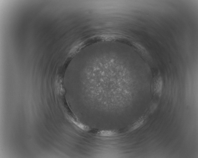 X0000080180766200612151948