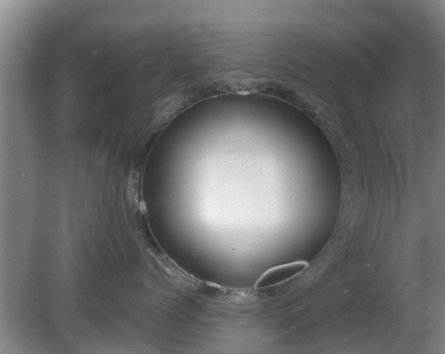 X0000080180768200612151948