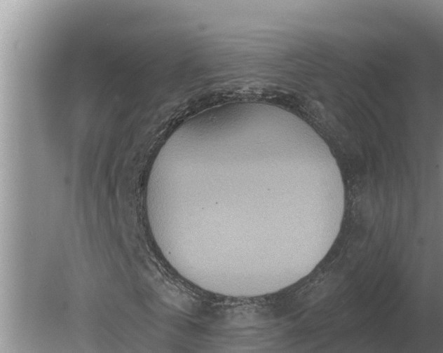 X0000080180769200612151947