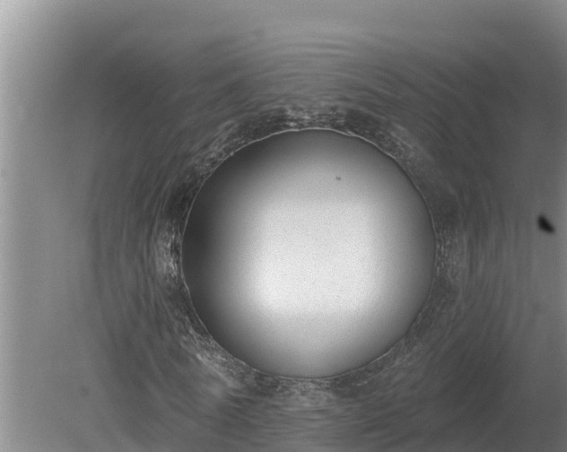 X0000080180770200612151947