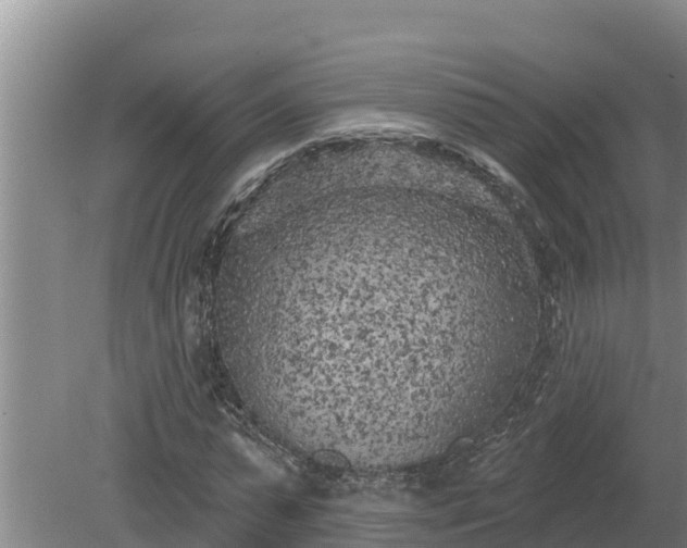 X0000080180775200612151947