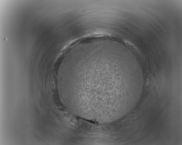 X0000080180776200612151947