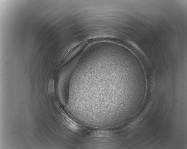 X0000080180777200612151947