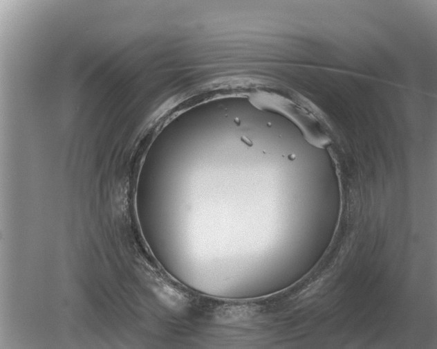 X0000080180778200612151947