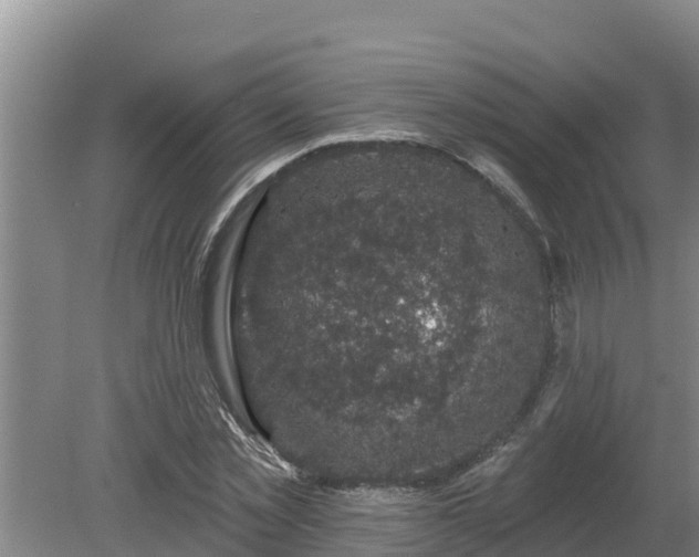 X0000080180781200612151947