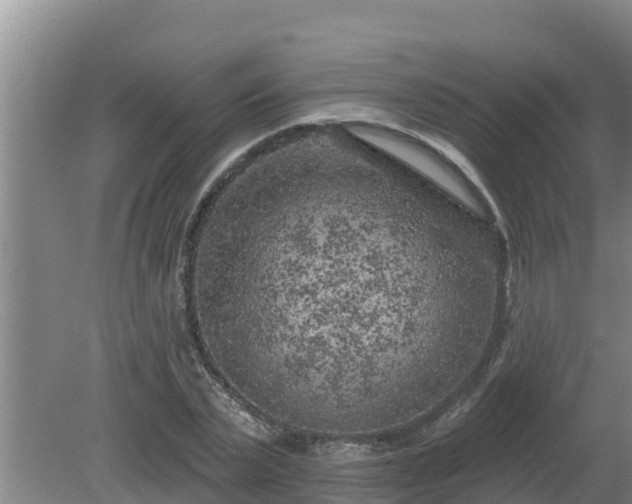 X0000080180783200612151947