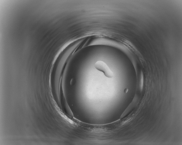 X0000080180788200612151947